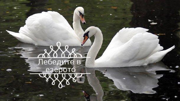 Д И В 1 - D & V 1 Apartment Sandanski Luaran gambar